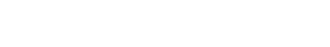 中国安全情報局