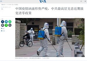 20221111零
