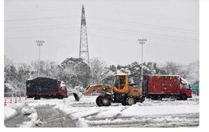 2024年1月25日大雪