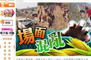 20231017穀物