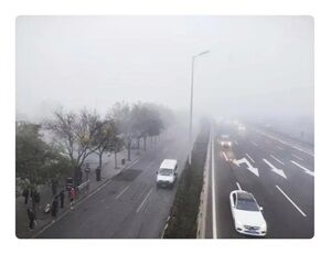 2024年11月5日濃霧