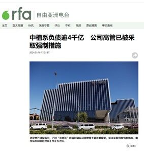 2024年3月18日中植系