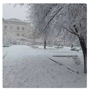 25年3月4日大雪