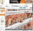 2018年6月28日鶏