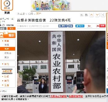 2018年11月8日農