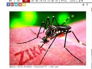 2019年12月12日蚊