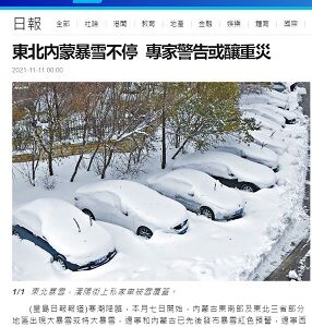 22021年11月11日雪