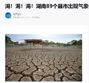 2019年10月8日干