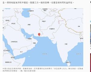 25年3月10日3国演習