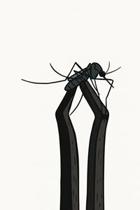725年7月31日チクングニア