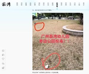 2024年11月21日ペット
