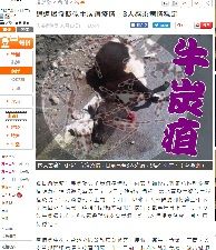 2018年8月14日牛