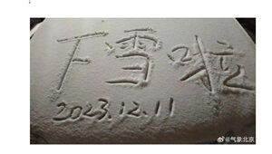 20231211雪