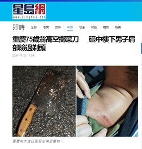 2024年11月26日投擲