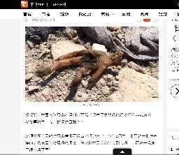 2018年5月11日肉