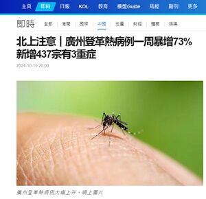 2024年10月16日デング熱